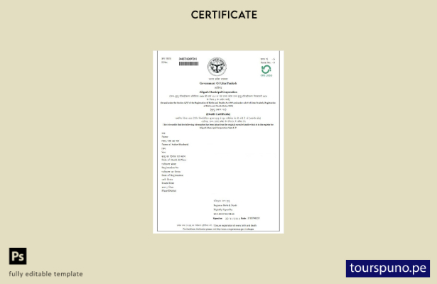 listo para imprimir plantilla de certificado de defunción de la corporación muni